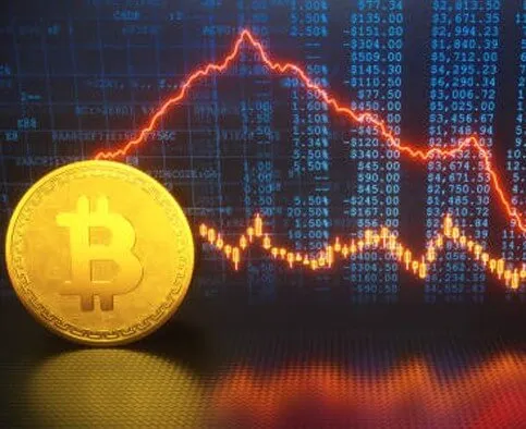 Crypto Genius - Strengthen Your Financial Power with Crypto Genius.